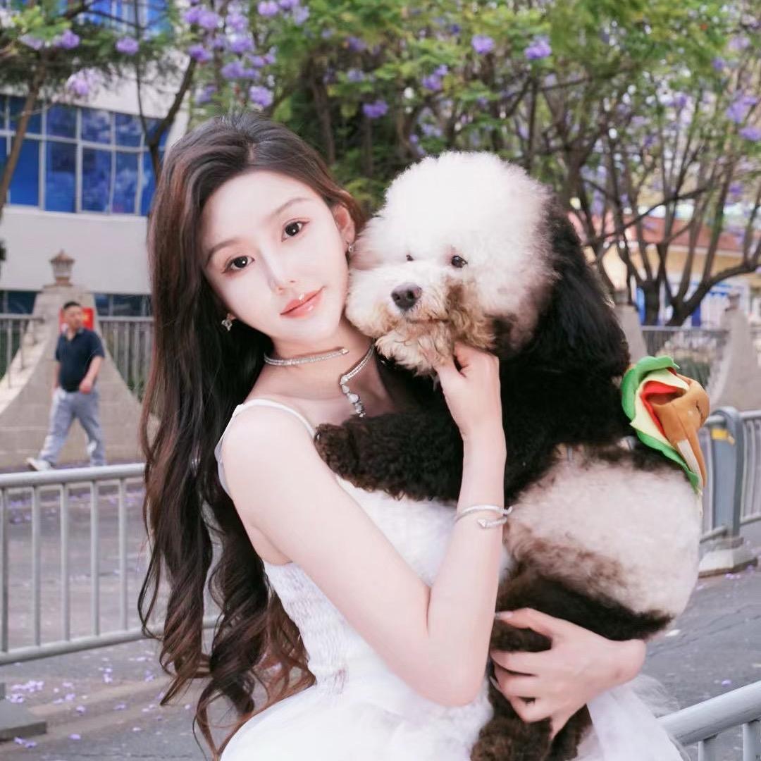 杨杨杨