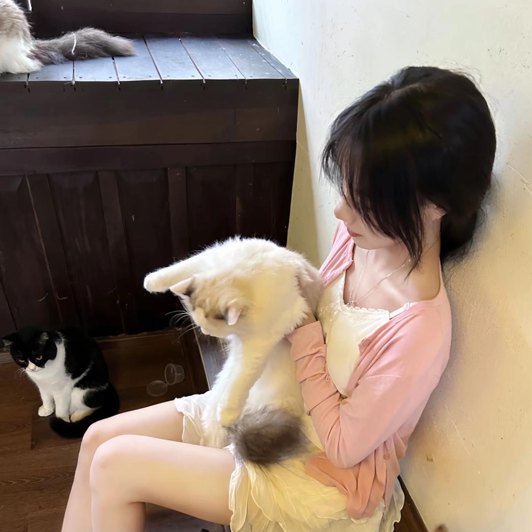 悲伤洋柿子