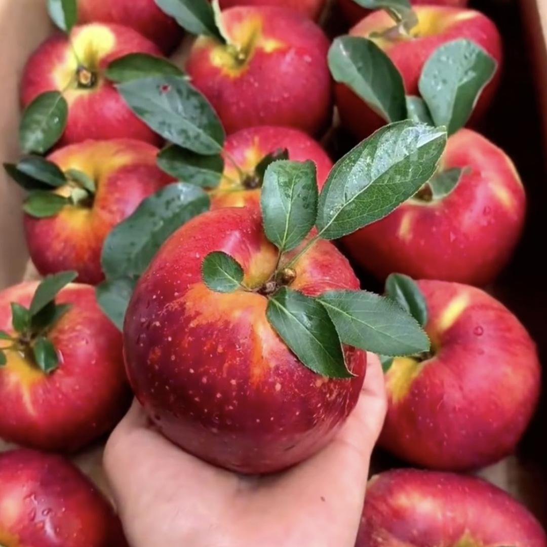 叶满园精品果蔬店