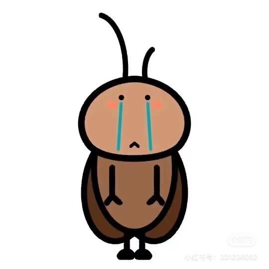 我又划着断桨出发了