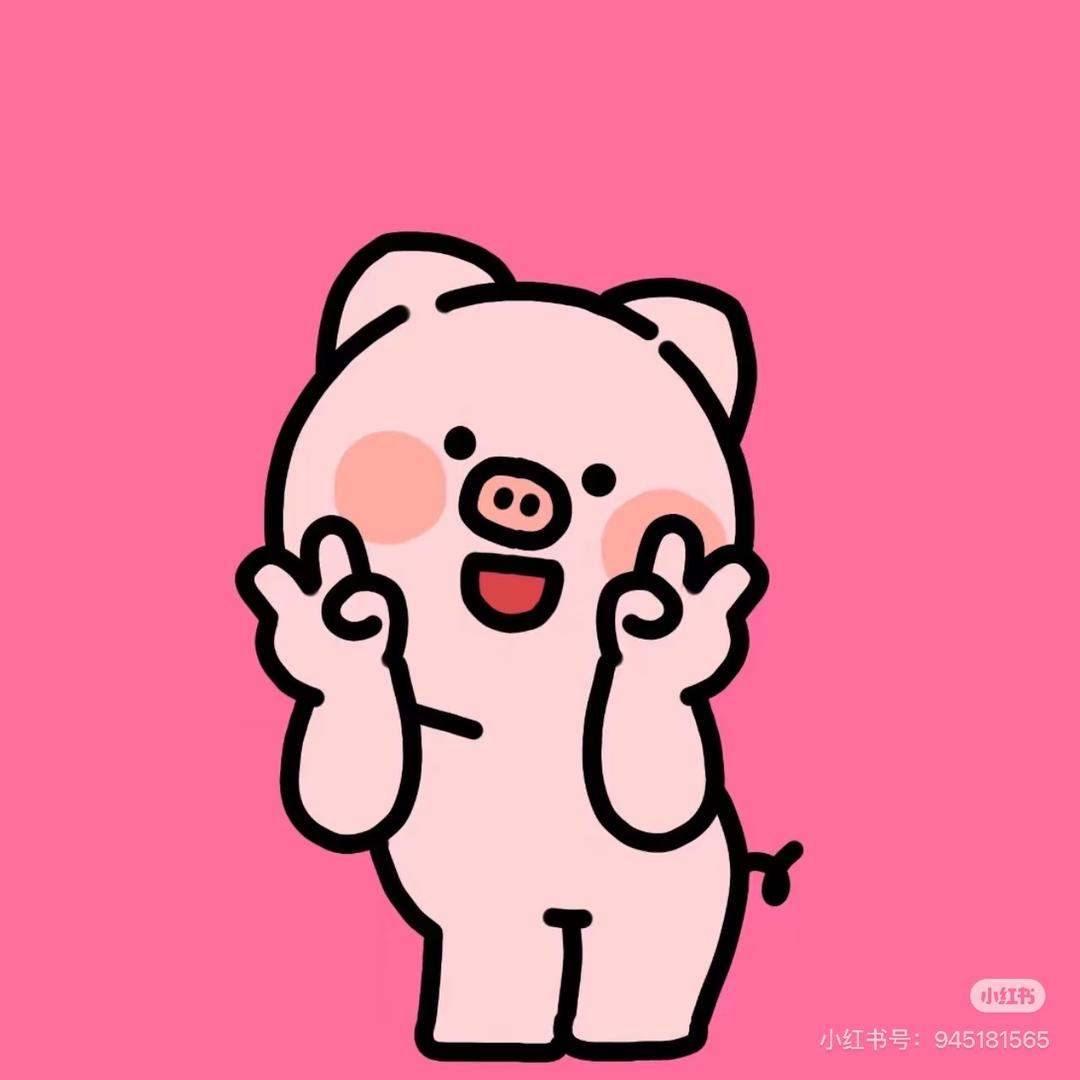 古力猪蹄🐷