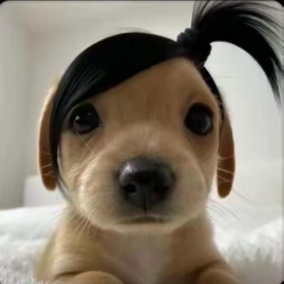 椰几砸下来头会痛痛树喔