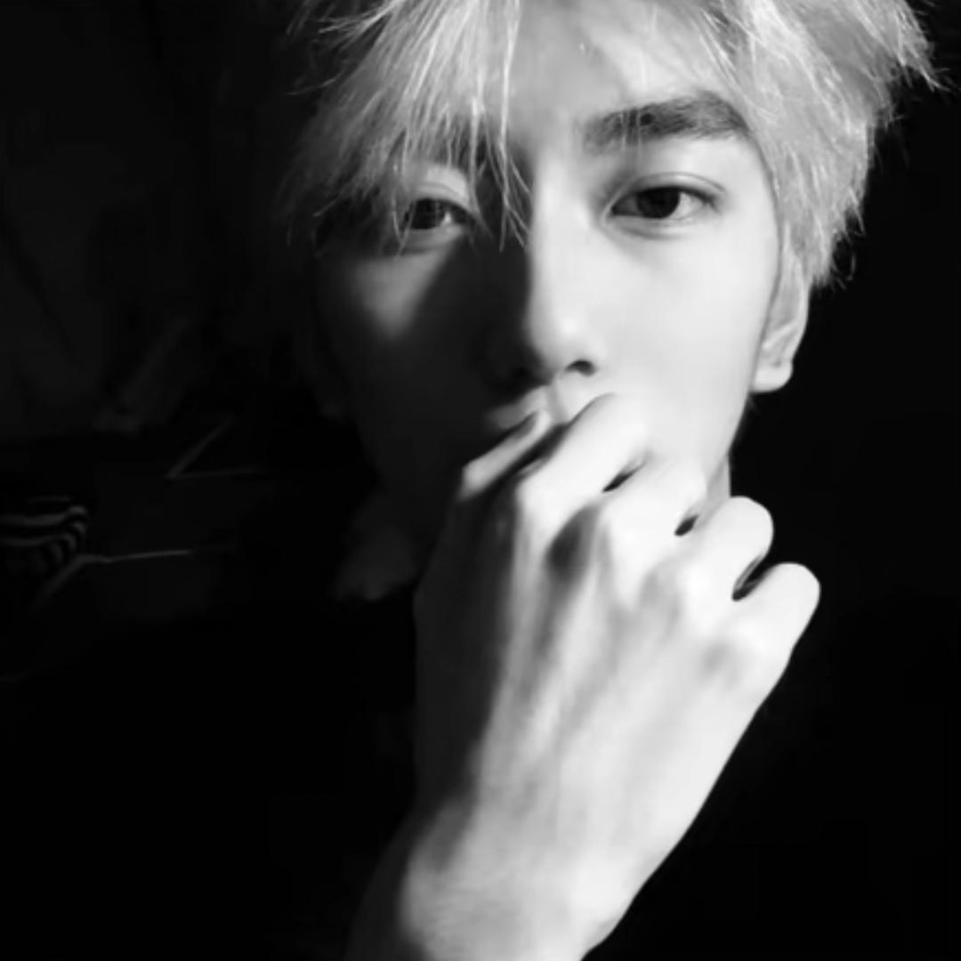 杨涛 ᅟᅟᅟᅟᅟᅟᅟᅟᅟᅟᅟ
