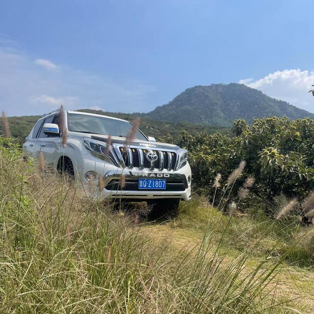 小徐开霸道🚗。