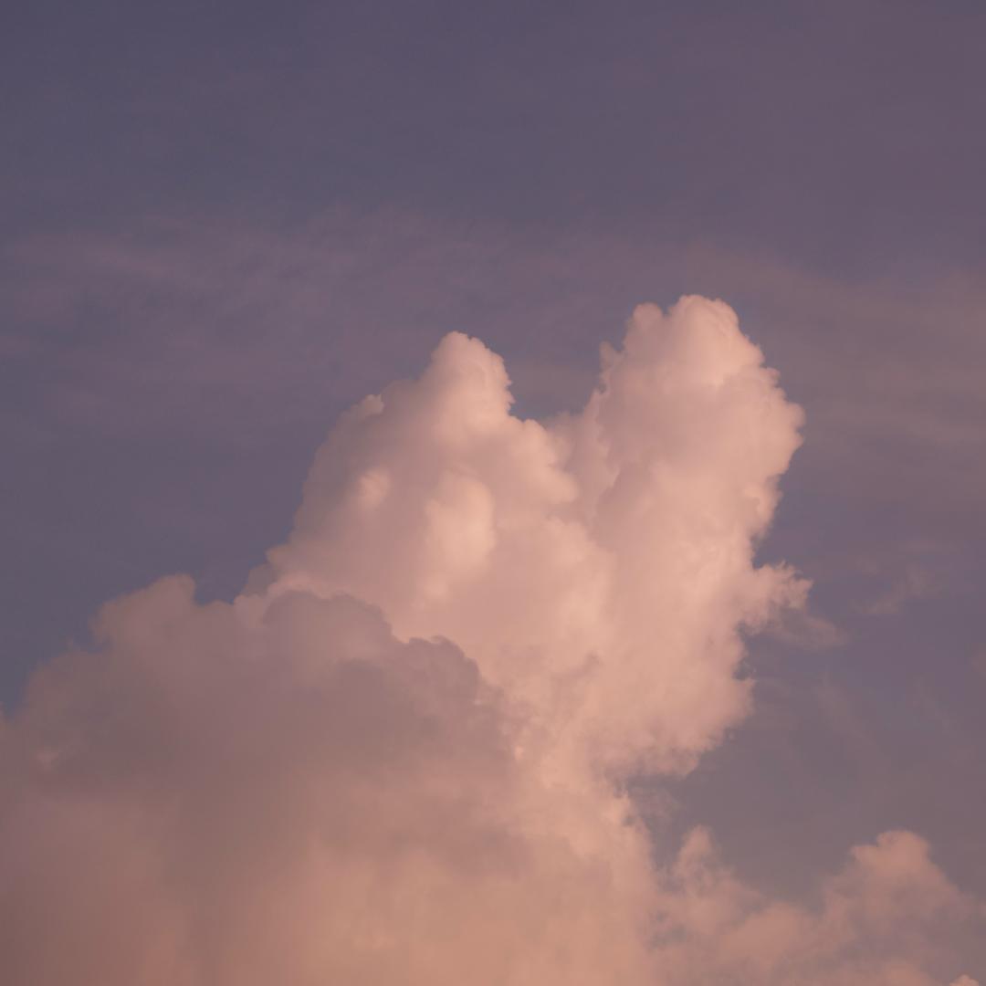 🌈小麦水稻分界线