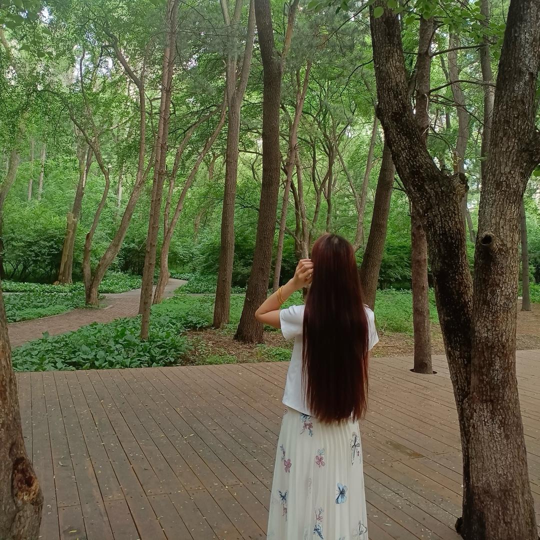 💓仙女不讲李💕