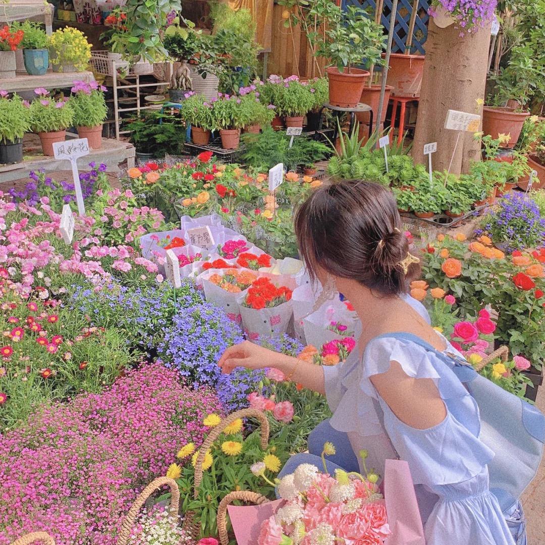 英山匠心鲜花店_丹丹🌸