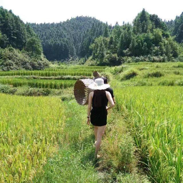 阳阳