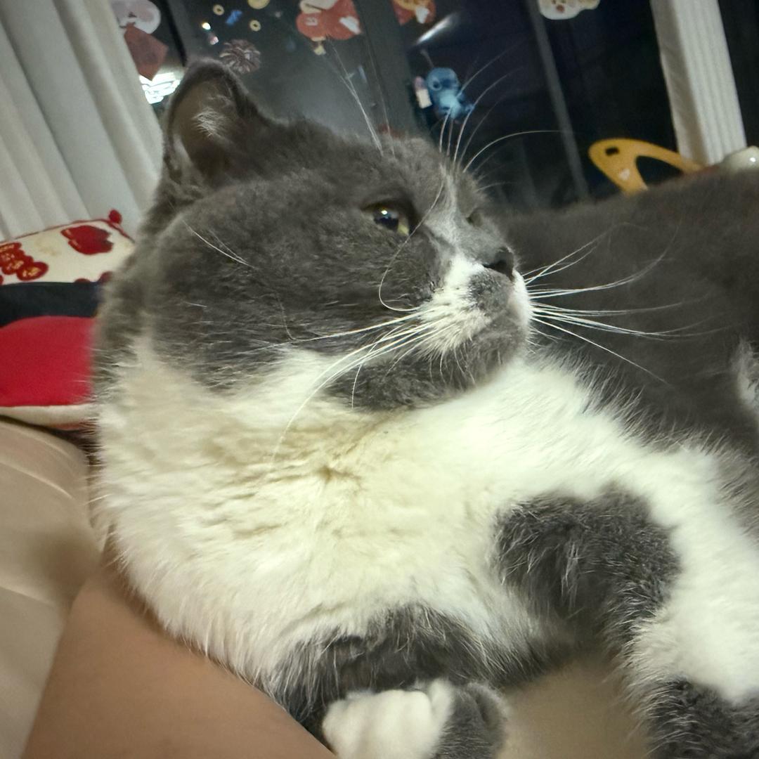 @漆黑中的小迷虫