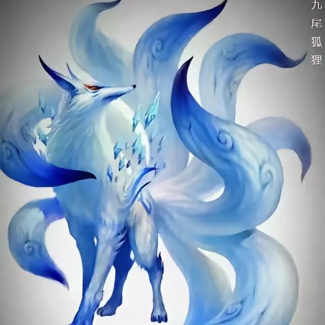 胡九仙儿🦊（+🌐备注来意）