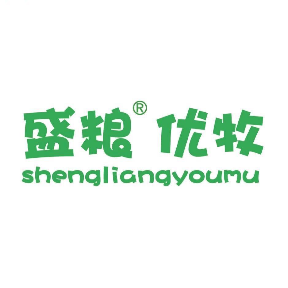 鹏飞