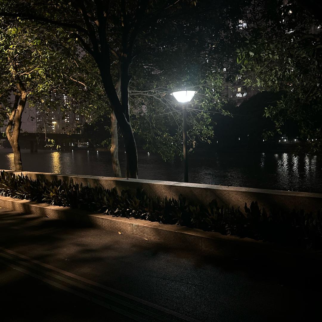 8个🐱🐱🐱🐱🐱🐱🐱🐱