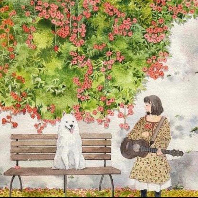 如愿💫