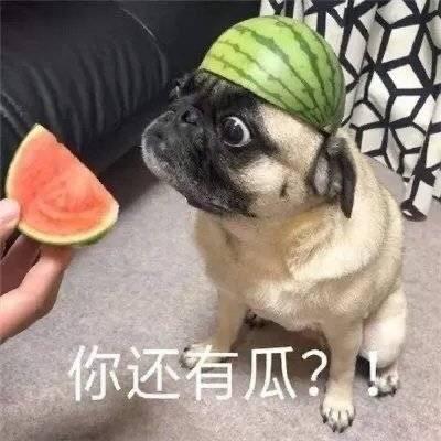 深情托玛頭