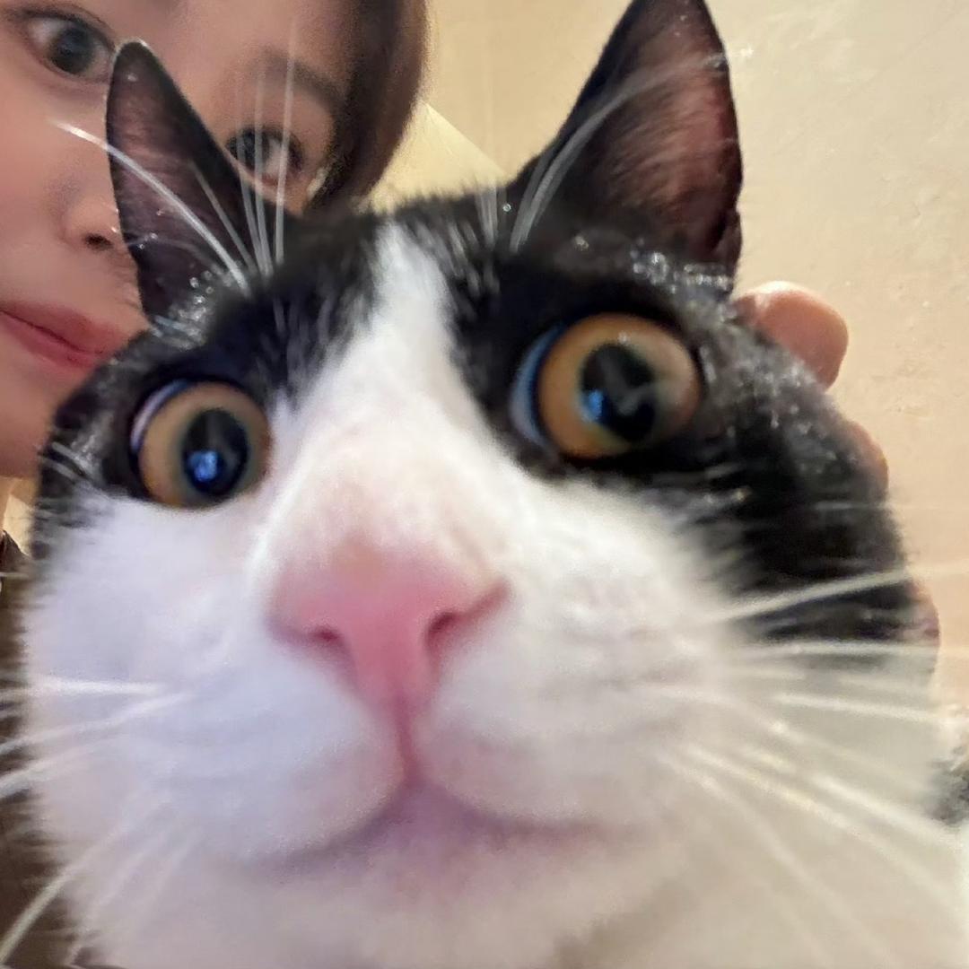 困困的黑色山楂