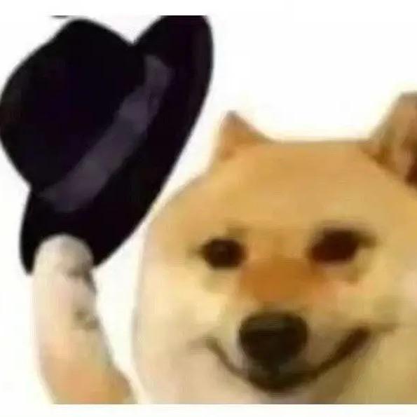 yycazye