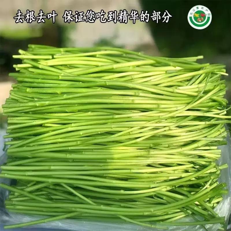 豆豆农夫菜园