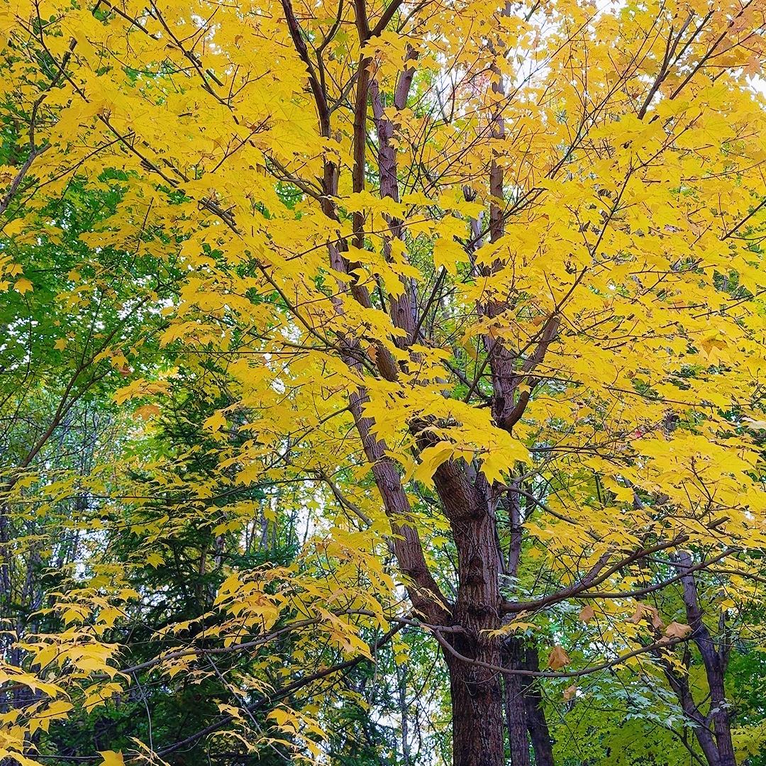 三餐有玉粮品铺子
