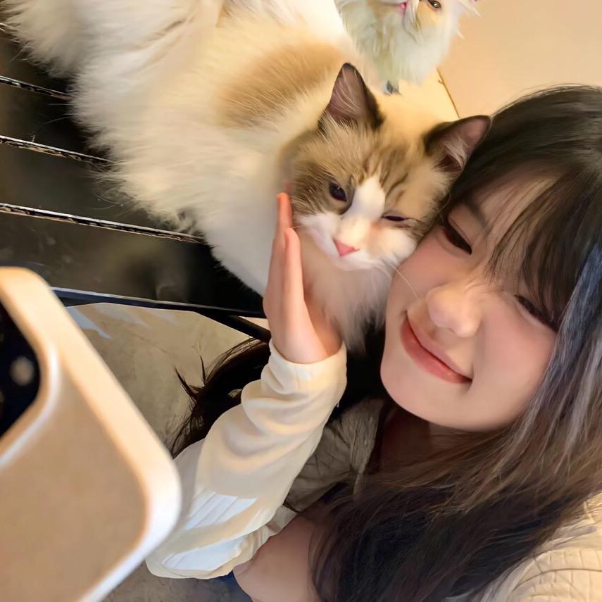 想堆①个小⛄