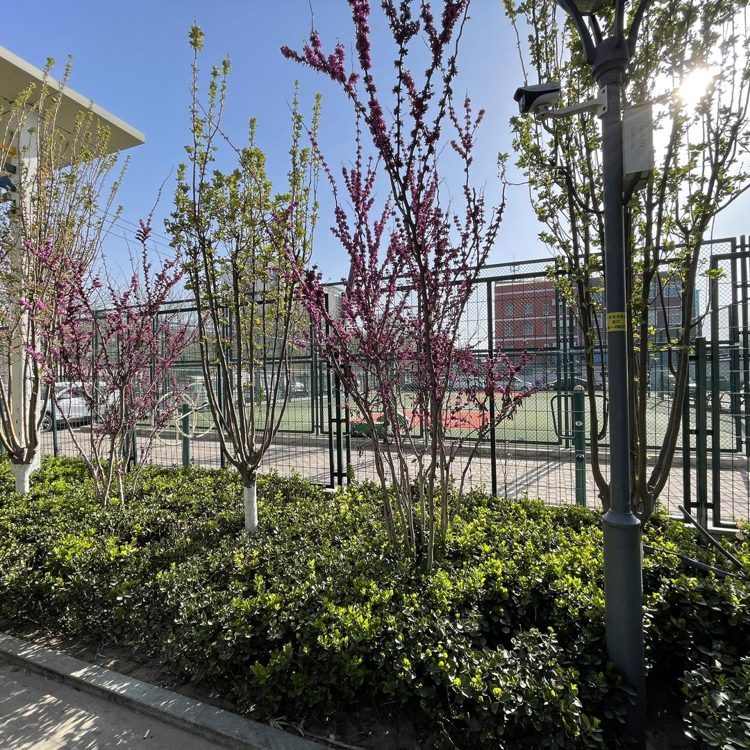 子舞线雅致生活坊