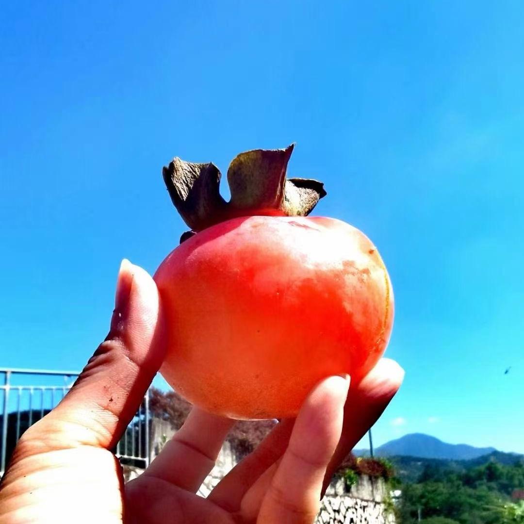 白家女百货优选