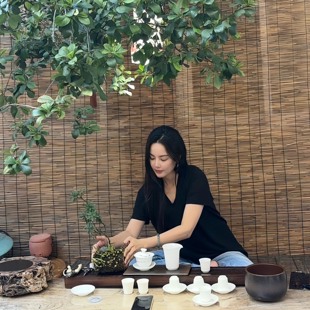 茶客夏米