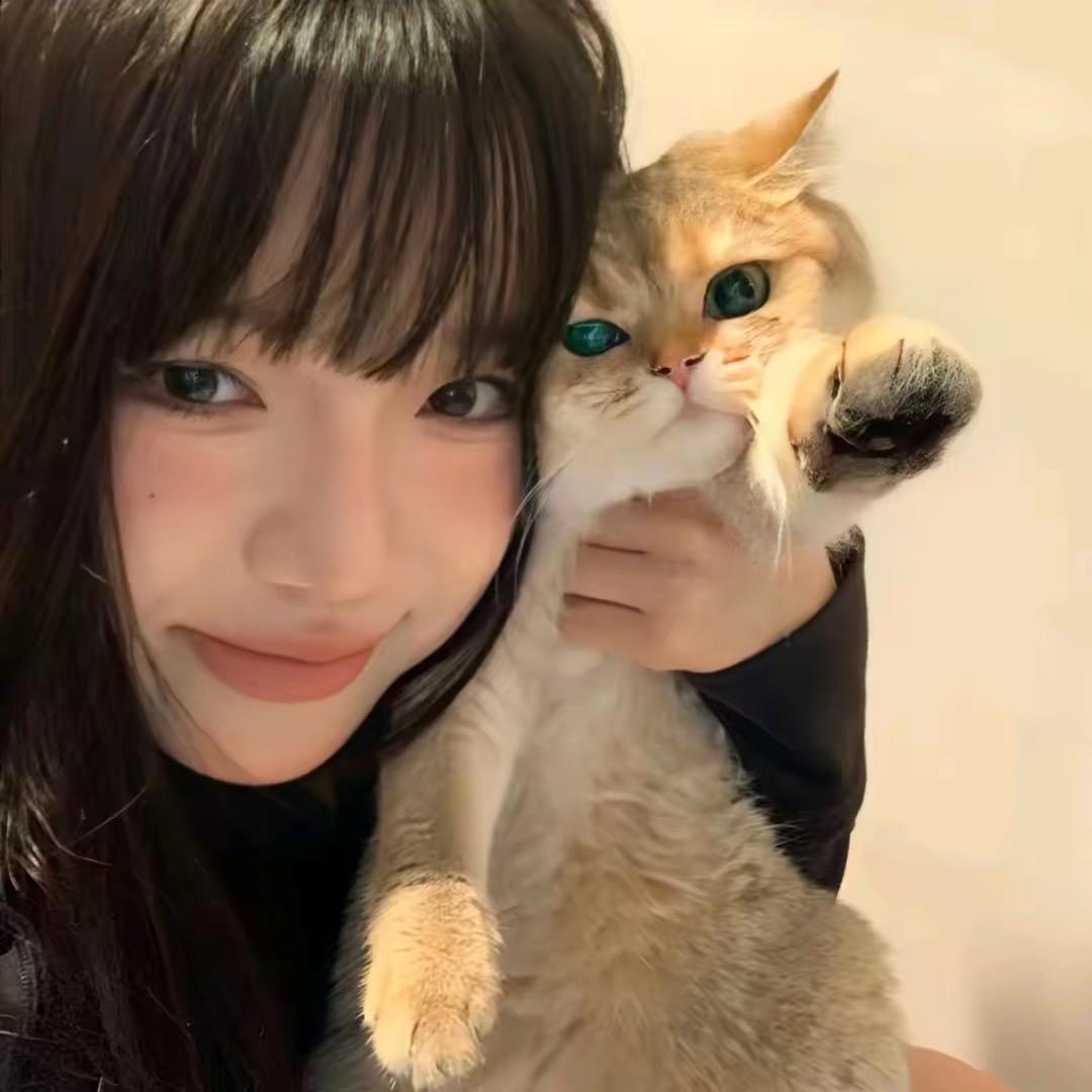 爱哭的毛毛虫🐛的头像