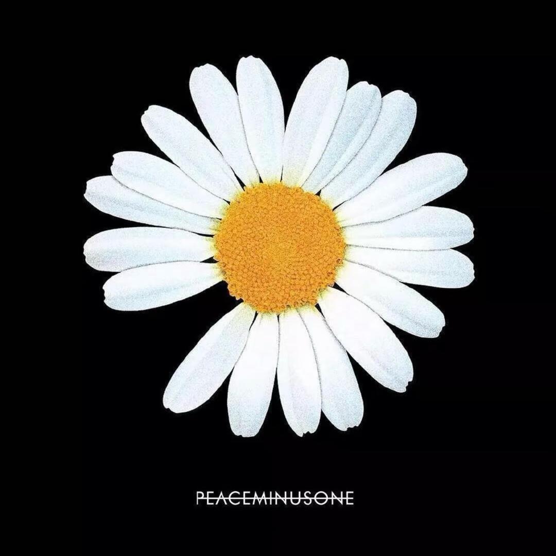 不暴富不改名🍐👑