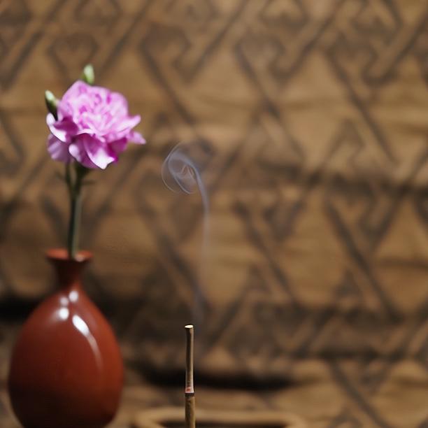 霖修缘精选-丹丹