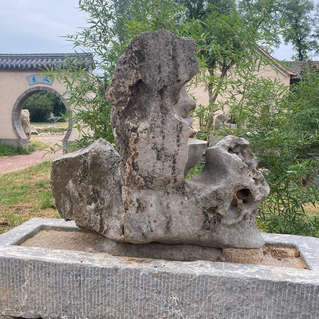 孙行者一庭院石