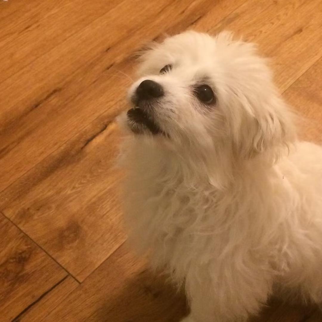 暴雨烦