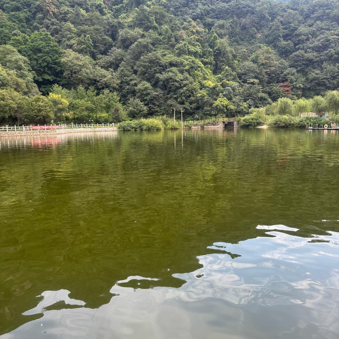 这是谁是谁