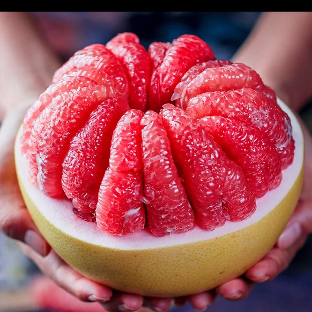 红心蜜柚(明日达)