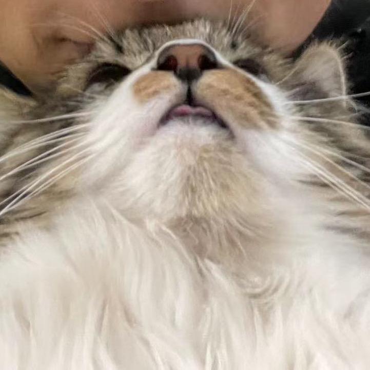 蓉蓉小朋友✔️