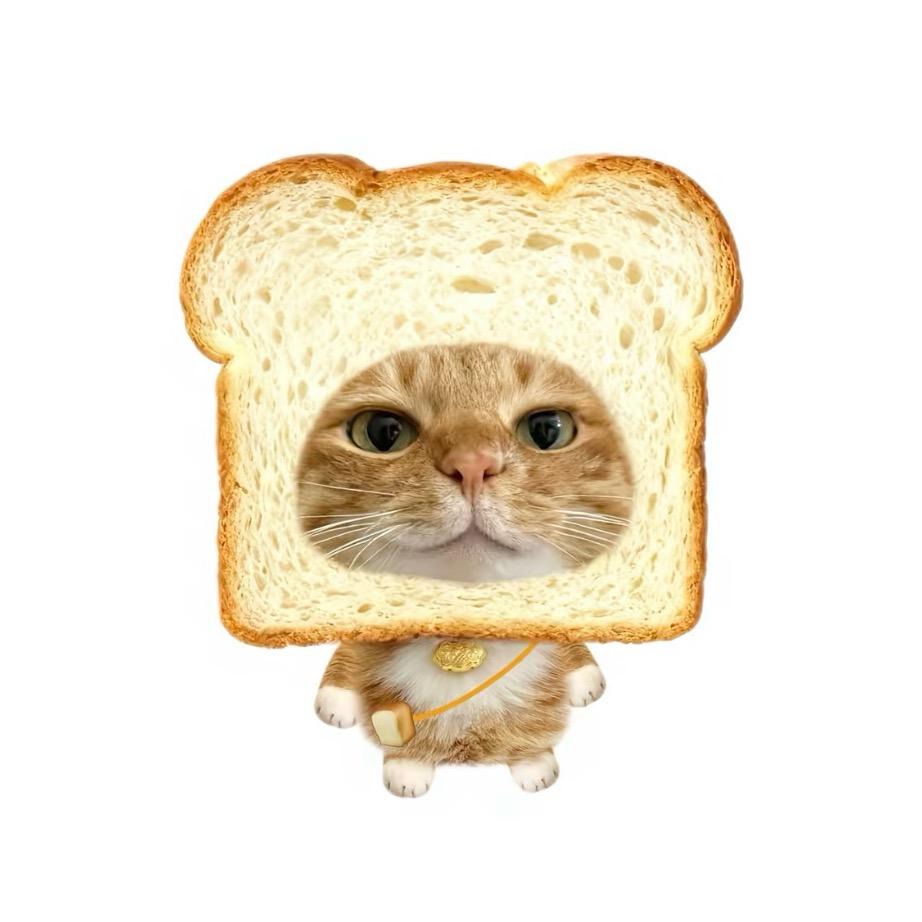 Y_w