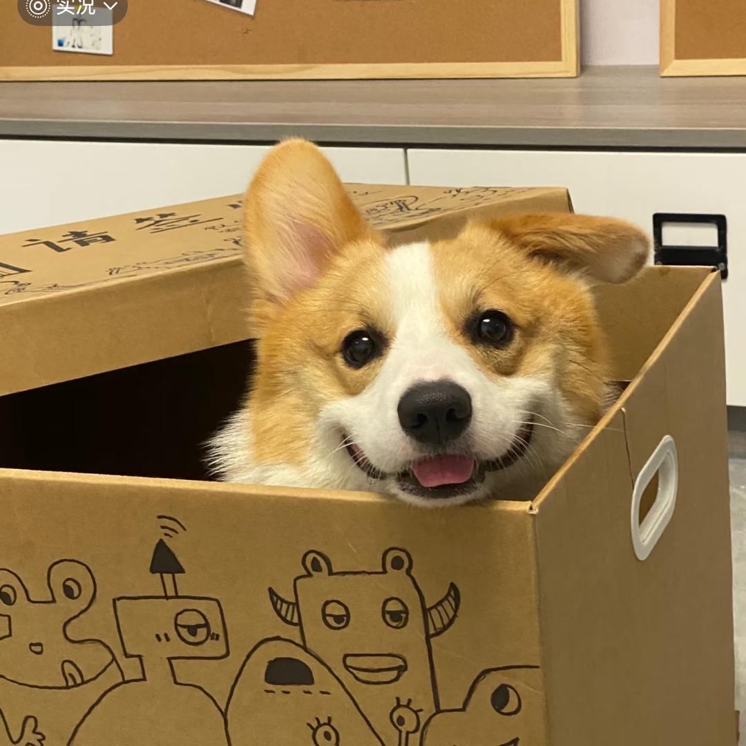喜欢小狗狗