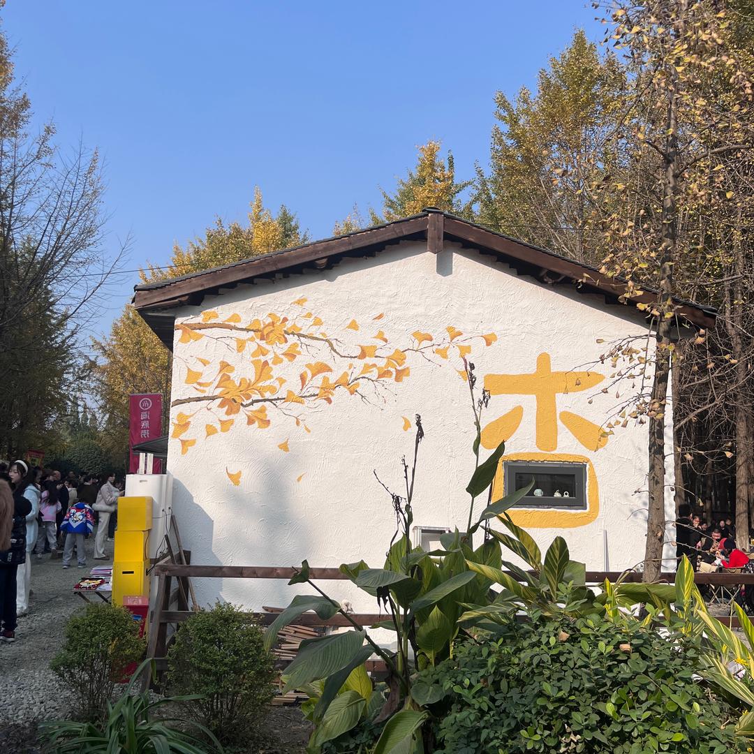 小秦老师在成长✌️
