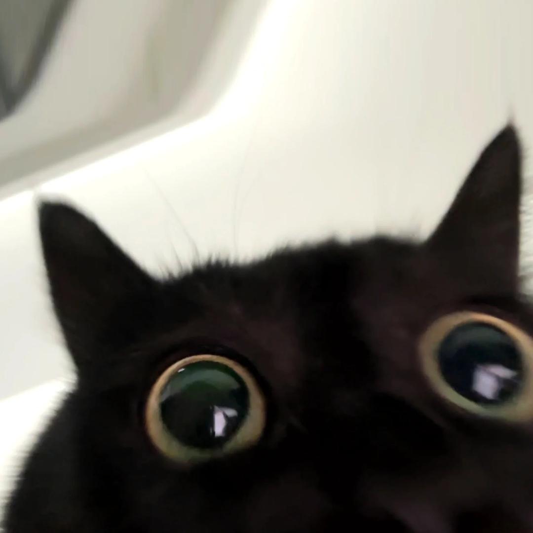 陌生.