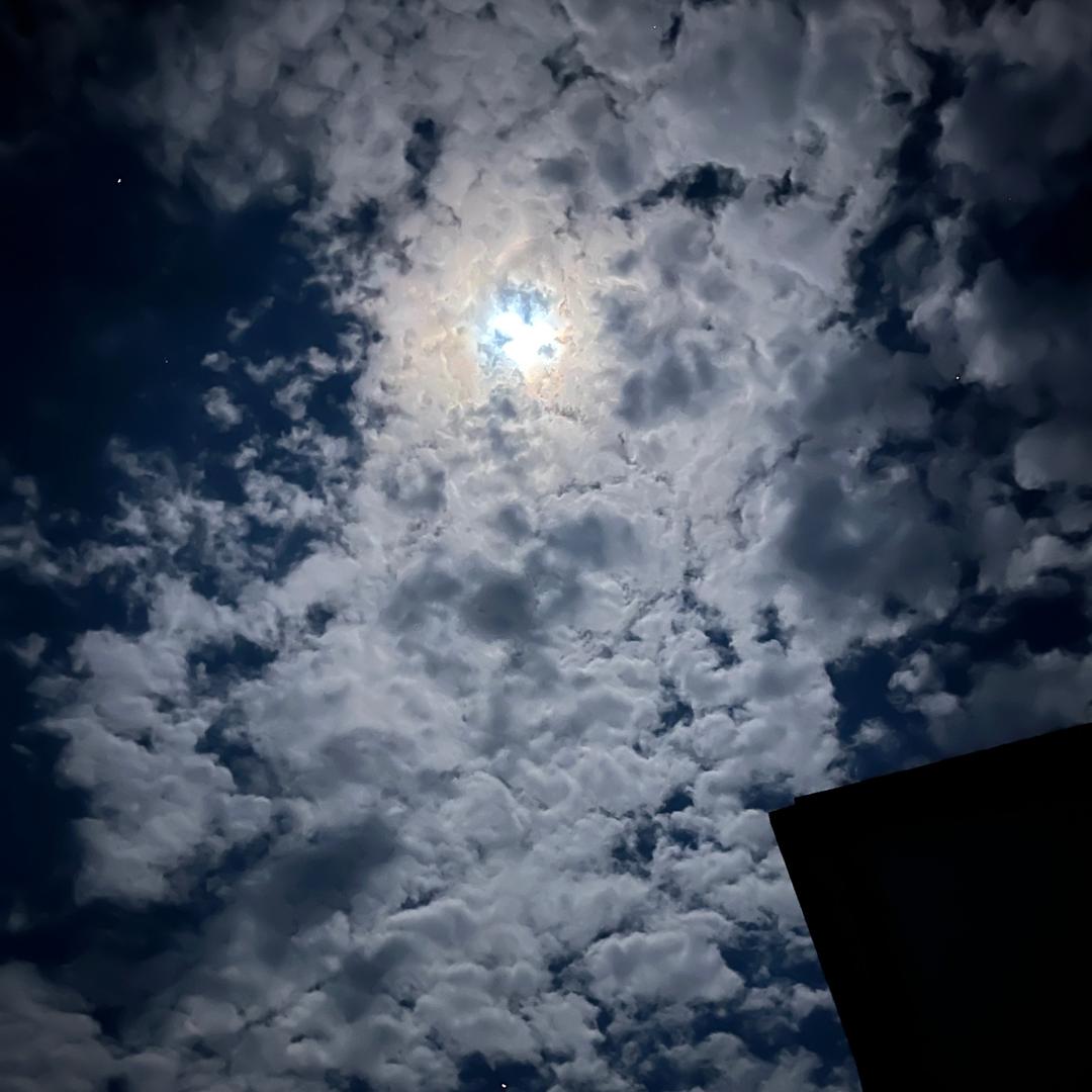 浑水摸鱼