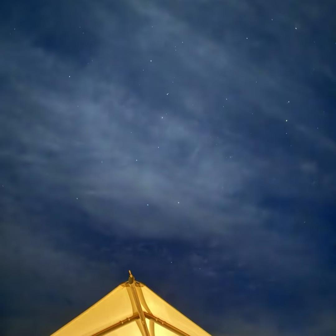 诉讼和执行（嘉兴）