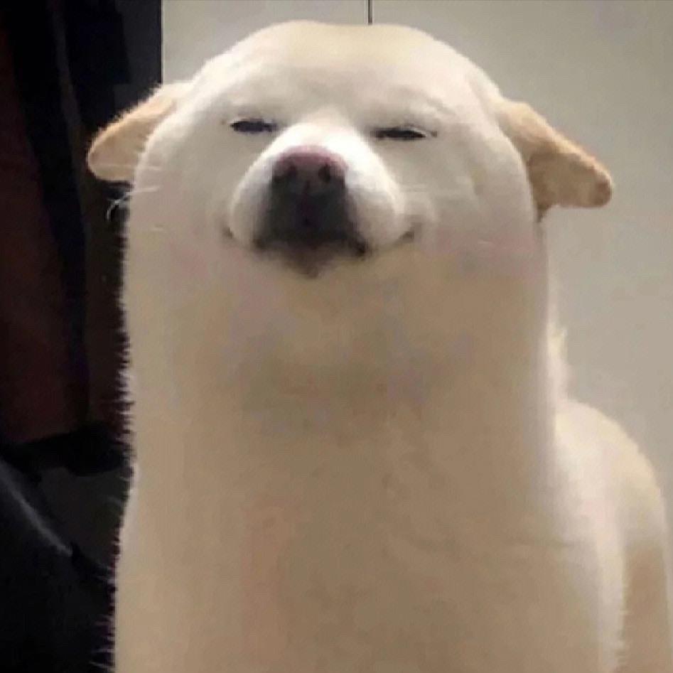 吃饱的时候不饿