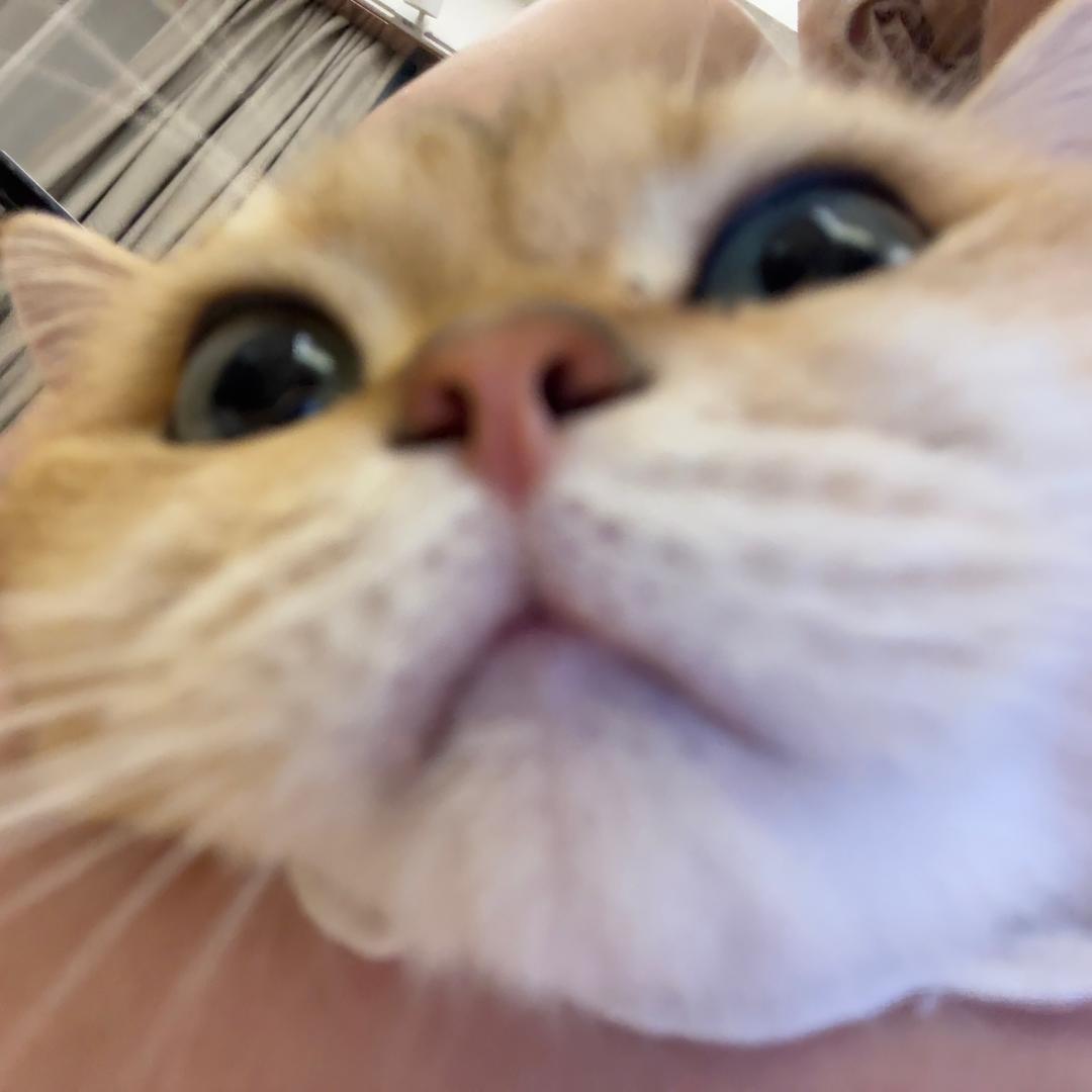 是孙发发呀