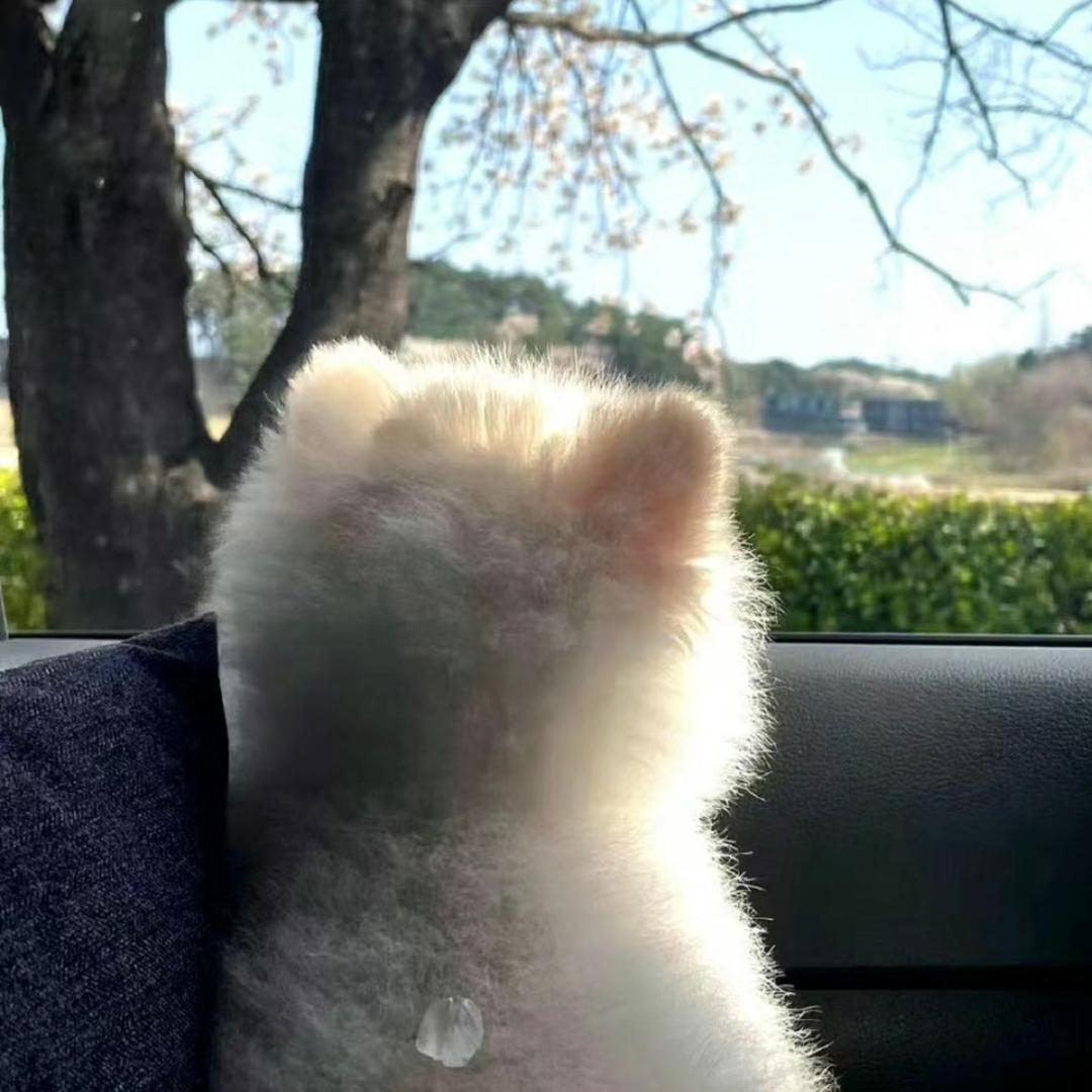 小杨睡不着-🧸