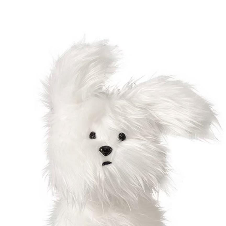 s j j z kan s j x