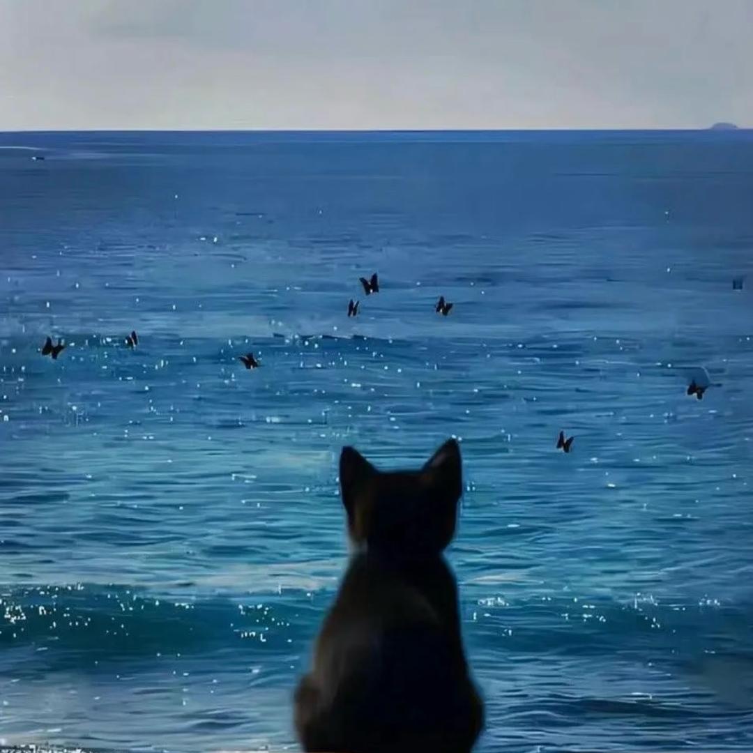 上上签.