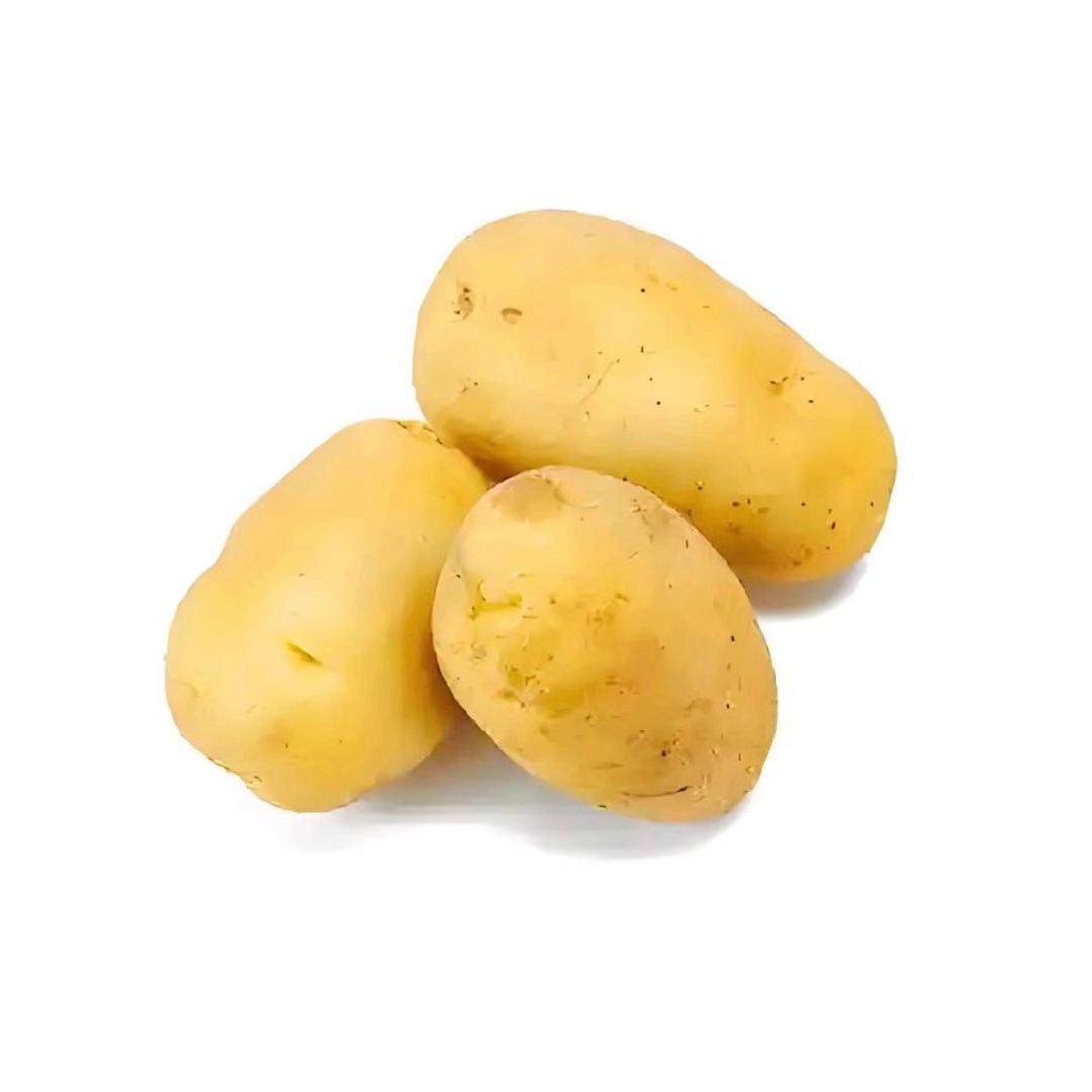 土豆地蛋炒马铃薯