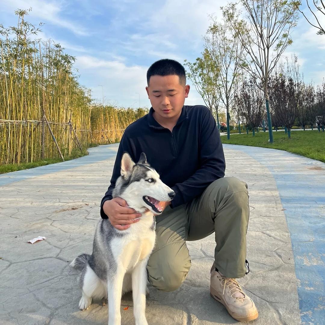 临沂上门训犬（腾野训犬）