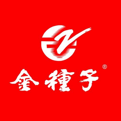金种子官方旗舰店直播间