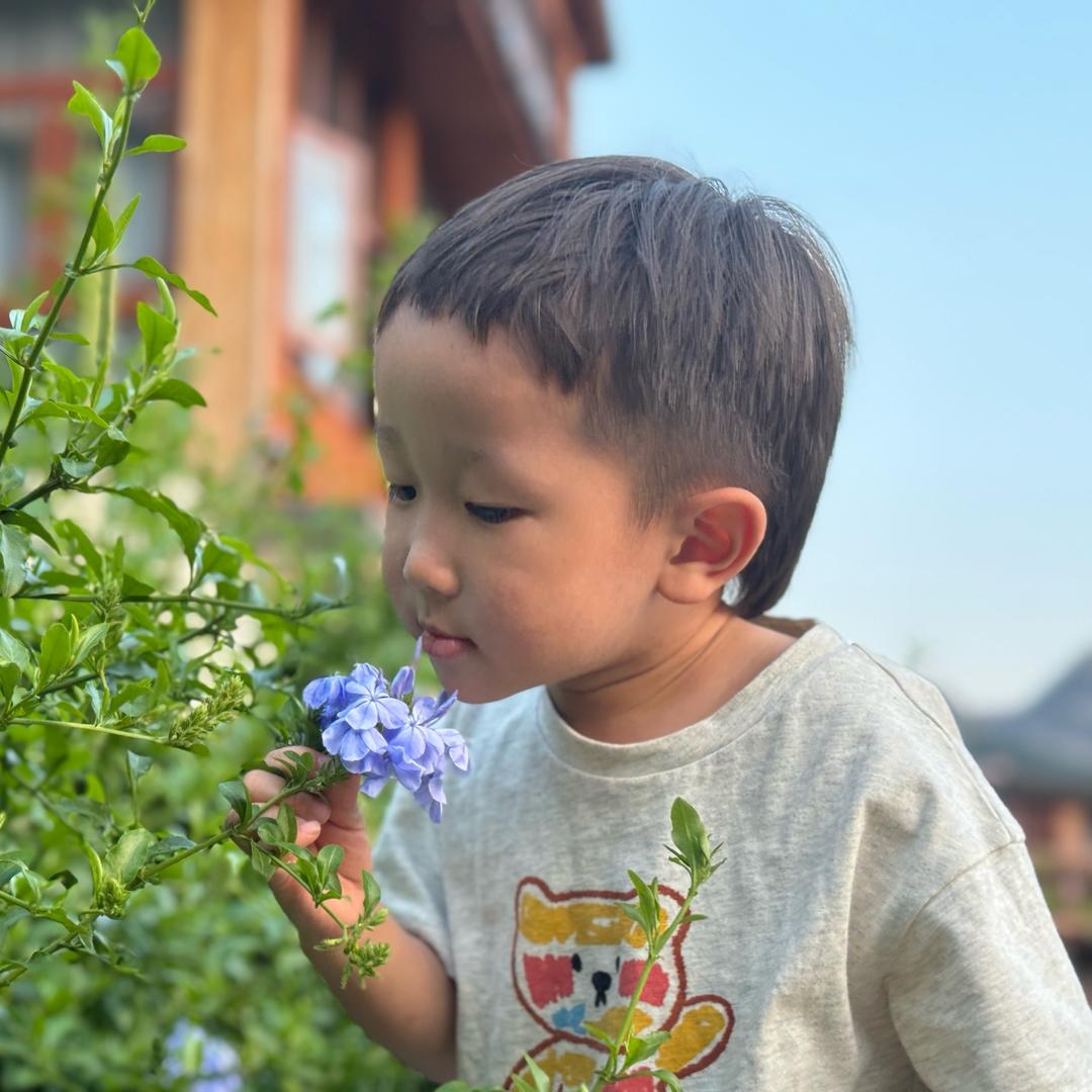 龙飞凤舞