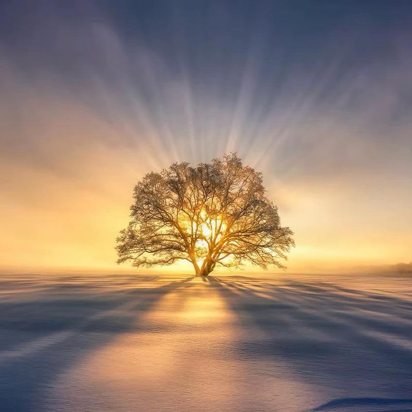 遇事不决选两掺